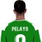 NOMBRE Y NUMERO CAMISETA